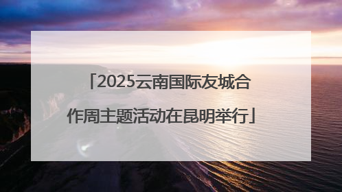 2025云南国际友城合作周主题活动在昆明举行