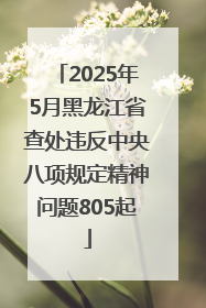 2025年5月黑龙江省查处违反中央八项规定精神问题805起