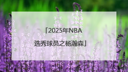 2025年NBA选秀球员之杨瀚森