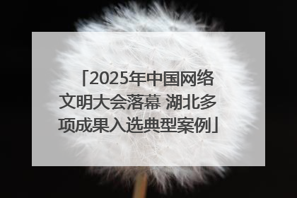 2025年中国网络文明大会落幕 湖北多项成果入选典型案例