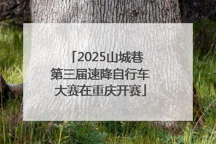 2025山城巷第三届速降自行车大赛在重庆开赛