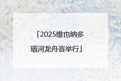 2025维也纳多瑙河龙舟赛举行