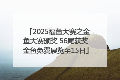 2025福鱼大赛之金鱼大赛颁奖 56尾获奖金鱼免费展览至15日