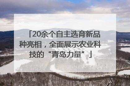 20余个自主选育新品种亮相，全面展示农业科技的“青岛力量”