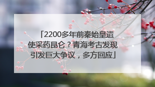 2200多年前秦始皇遣使采药昆仑？青海考古发现引发巨大争议，多方回应