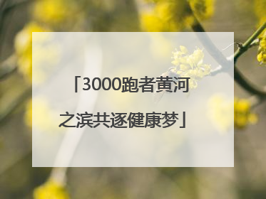 3000跑者黄河之滨共逐健康梦