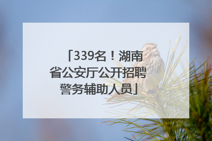339名！湖南省公安厅公开招聘警务辅助人员