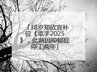 38岁郑欣宜补位《歌手2025》，此前因抑郁症停工两年