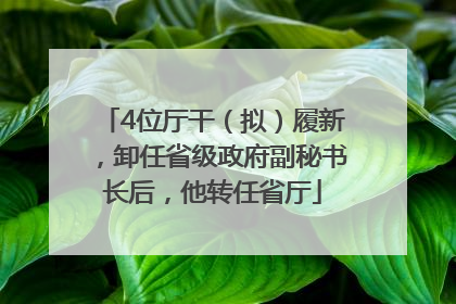 4位厅干（拟）履新，卸任省级政府副秘书长后，他转任省厅