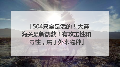 504只全是活的！大连海关最新截获！有攻击性和毒性，属于外来物种