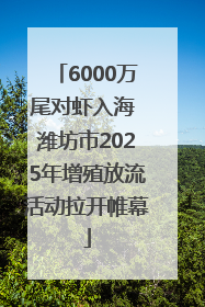 6000万尾对虾入海 潍坊市2025年增殖放流活动拉开帷幕
