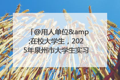 @用人单位&在校大学生，2025年泉州市大学生实习“扬帆计划”来啦！
