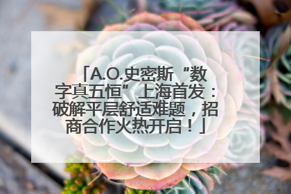 A.O.史密斯“数字真五恒”上海首发：破解平层舒适难题，招商合作火热开启！