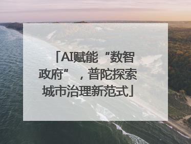 AI赋能“数智政府”，普陀探索城市治理新范式