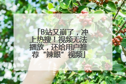B站又崩了，冲上热搜！视频无法播放，还给用户推荐“辣眼”视频