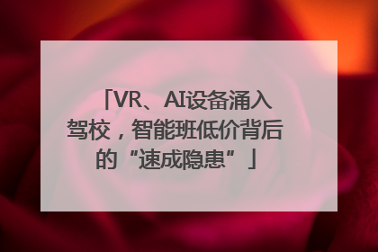 VR、AI设备涌入驾校，智能班低价背后的“速成隐患”